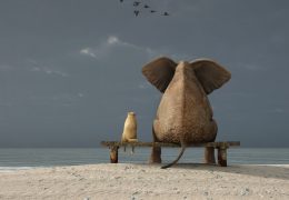 small business see corporates