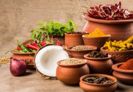 Indian-cuisine-red-rickshaw