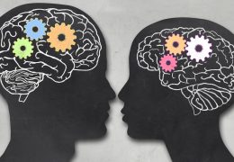 male-female-larger-brain-erasmus-university